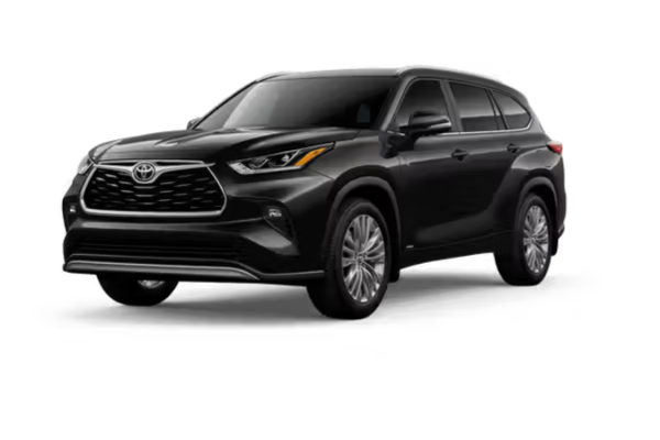 Untitled design (19)